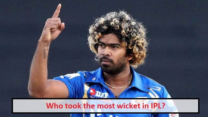 Who took the most wicket in IPL?
