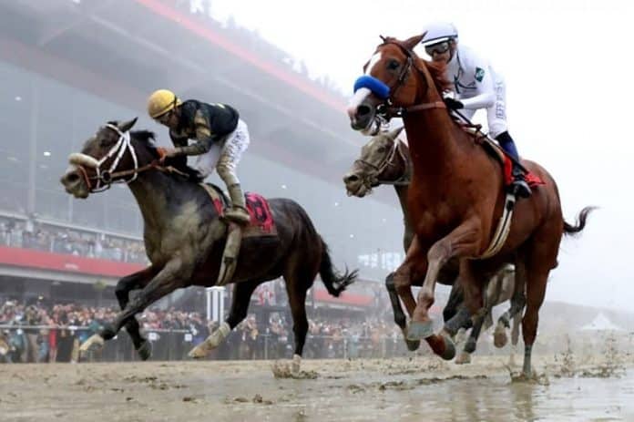 Preakness Stakes 2022 Date, TV Channel, Time, Distance, Race Coverage, And Everything you need to know