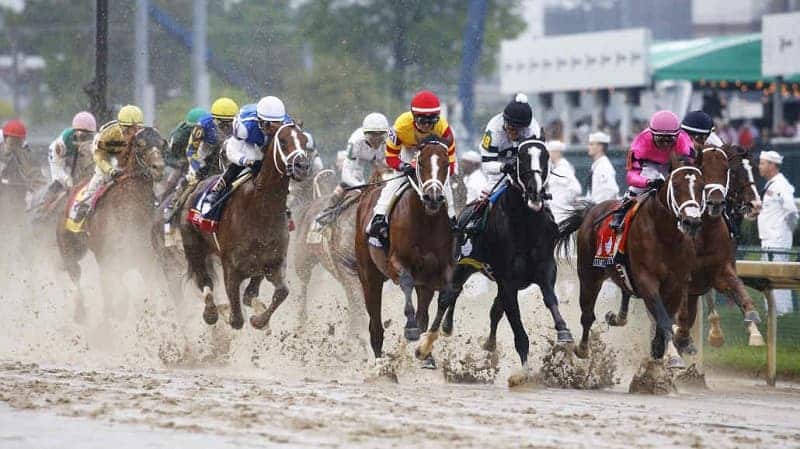 Preakness Stakes 2022 Payout Breakdown: How much prize money will the winner get?